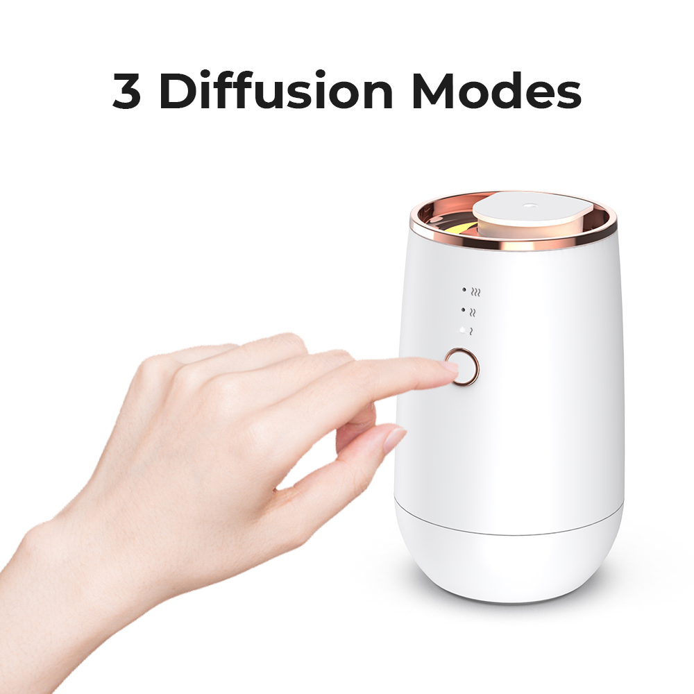 HIINST Mini Car Waterless Esse - đánh giá và giá Home Fragrance Premium