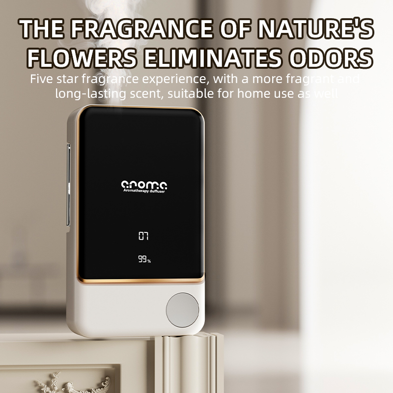 Aromatherapy diffuser fragranc - đánh giá và giá Home Fragrance Premium